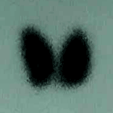 }6
