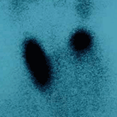 }8