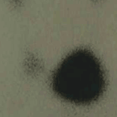 }9