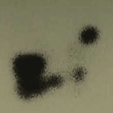 }11