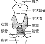 図1