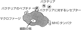 図10
