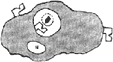 図11