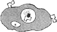図12