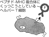 図13