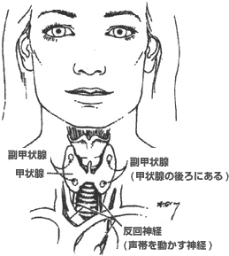 図19