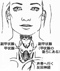 図38