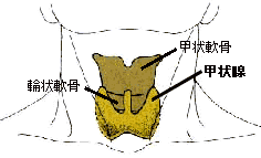 図1