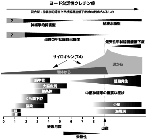 図1