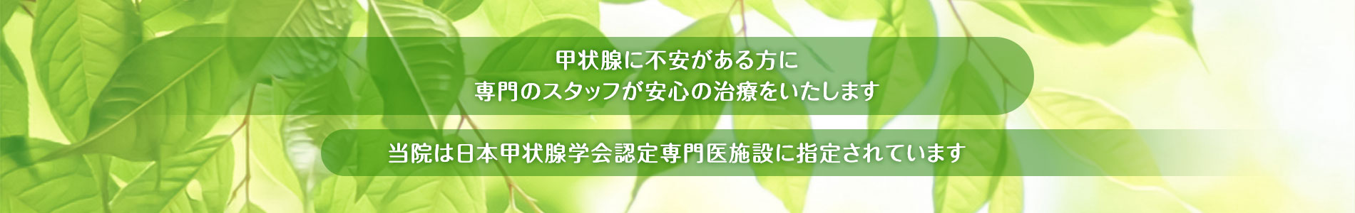 甲状腺に不安がある方に専門のスタッフが安心の治療をいたします／当院は日本甲状腺学会認定専門医施設に指定されています